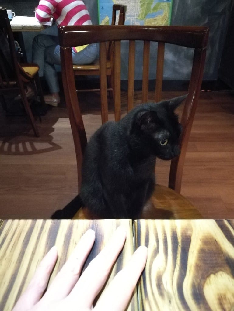 【新莊美食】楔子咖啡館，好棒的環境，咖啡專業讓人不想離開的咖啡館