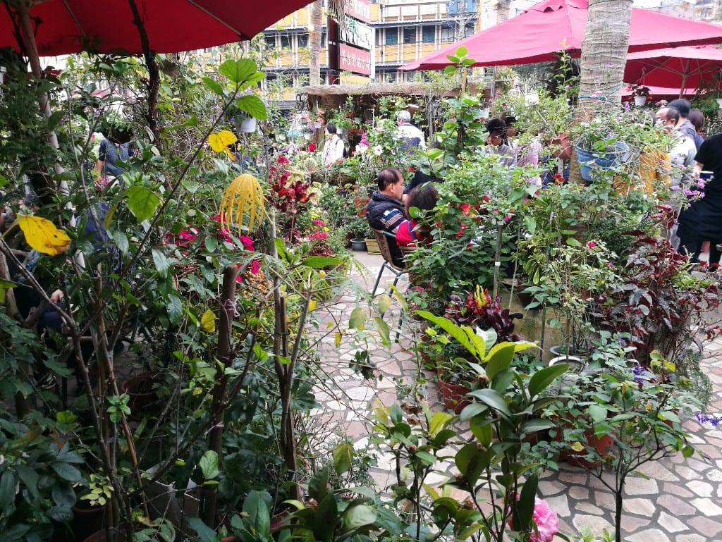 【桃園美食】Jo時光 甜點X雜貨X手作傢俱,可以在繽紛花園內用餐午茶的好地方 - 第3張圖 【桃園美食】Jo時光 甜點X雜貨X手作傢俱,可以在繽紛花園內用餐午茶的好地方