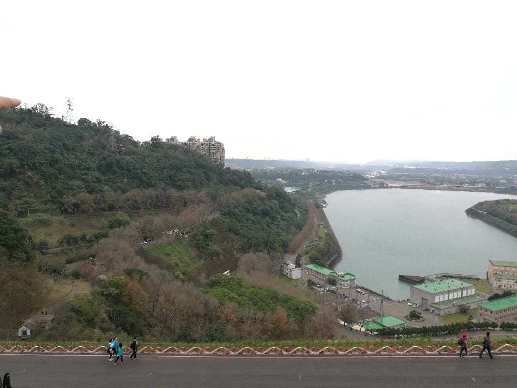 【桃園美食】小江正宗水庫活魚,活水三吃美味又新鮮 - 第15張圖 【桃園美食】小江正宗水庫活魚,活水三吃美味又新鮮
