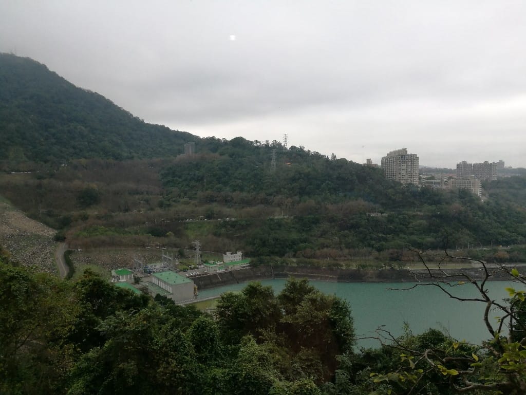 【桃園美食】小江正宗水庫活魚,活水三吃美味又新鮮 - 第2張圖 【桃園美食】小江正宗水庫活魚,活水三吃美味又新鮮
