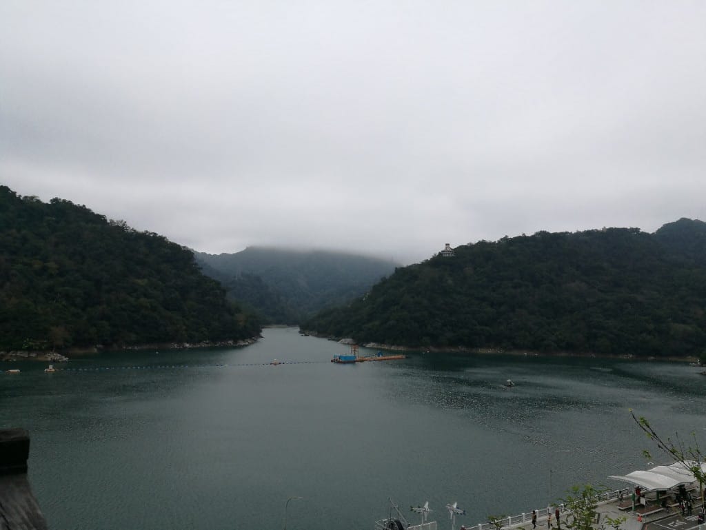 【桃園美食】小江正宗水庫活魚,活水三吃美味又新鮮 - 第17張圖 【桃園美食】小江正宗水庫活魚,活水三吃美味又新鮮