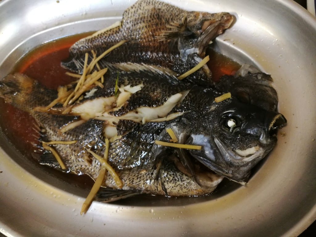 【台北美食】黑白毛海鮮，澳底高人氣海鮮餐廳