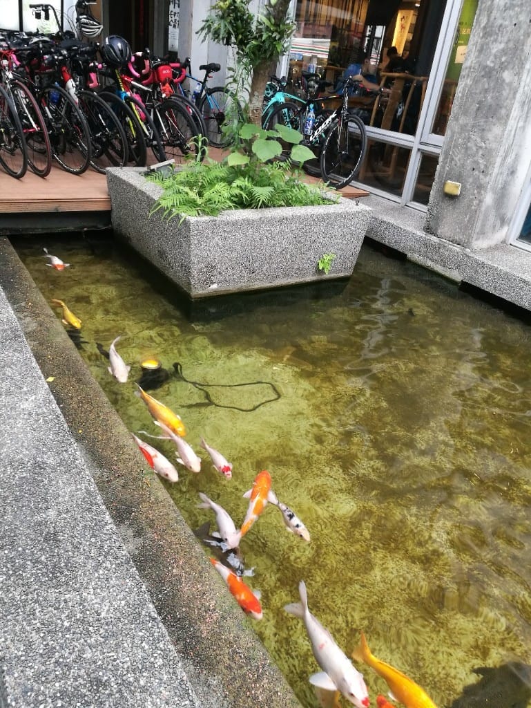 【花蓮美食】王記茶舖,花蓮版春水堂,簡餐小食豐富,適合聊天久坐的好所在 - 第12張圖 【花蓮美食】王記茶舖,花蓮版春水堂,簡餐小食豐富,適合聊天久坐的好所在