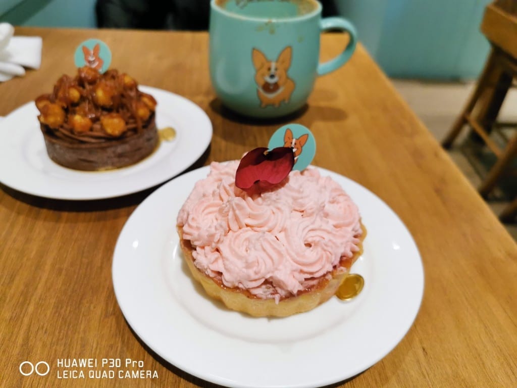 【板橋美食】奶油先生Mr butter cafe，提供自家烘培麵包甜點與輕食的寵物友善咖啡館