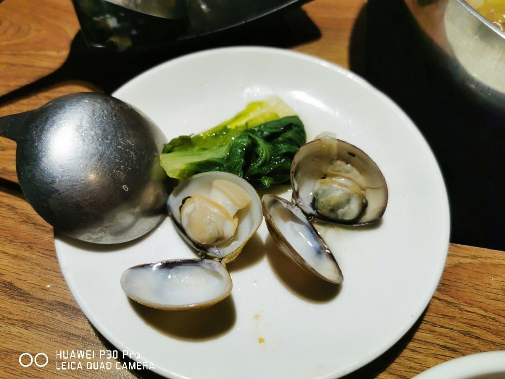 【新莊美食】 樂崎火鍋，海鮮肉品都很棒的平價火鍋店
