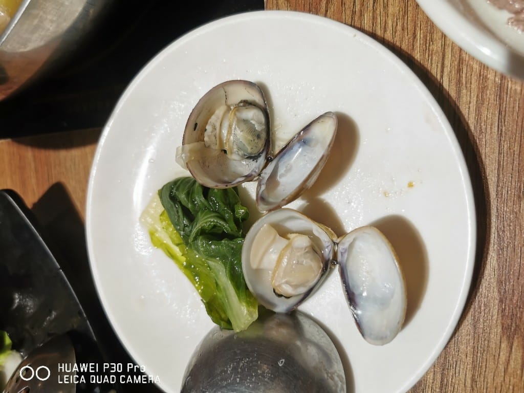 【新莊美食】 樂崎火鍋，海鮮肉品都很棒的平價火鍋店
