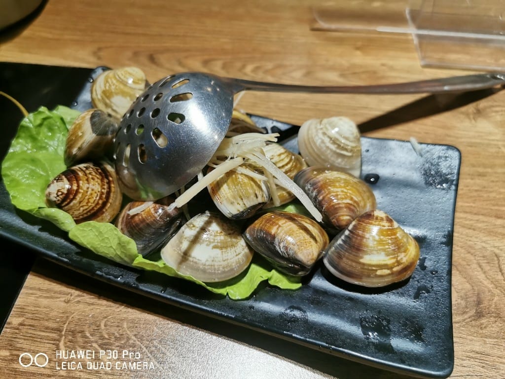 【新莊美食】 樂崎火鍋，海鮮肉品都很棒的平價火鍋店