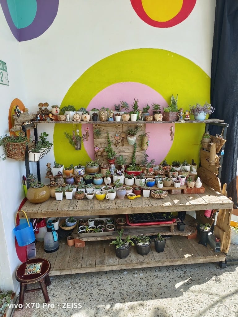 【新北美食】 肋霸美式豬肋排，霸氣十足又美味的豬肋排
