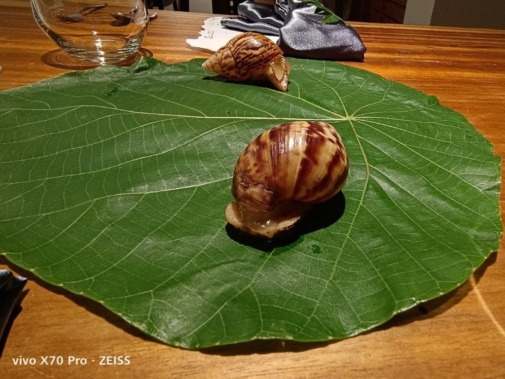 【台北美食】 VG Encore，從一隻小蝸牛進入森林中的美食饗宴