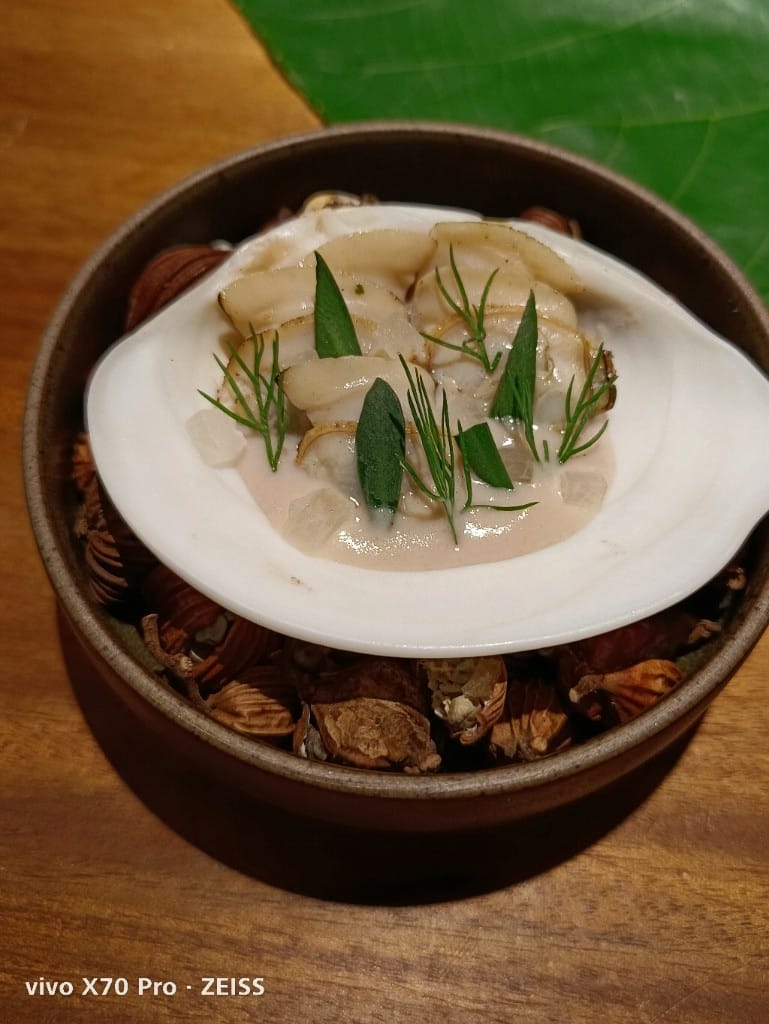 【台北美食】 VG Encore，從一隻小蝸牛進入森林中的美食饗宴