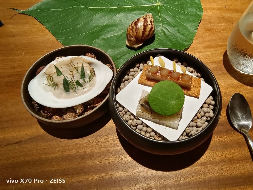 【台北美食】 VG Encore，從一隻小蝸牛進入森林中的美食饗宴
