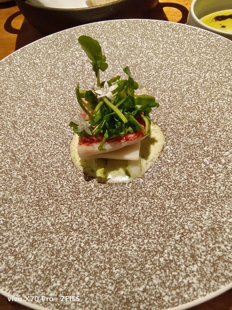 【台北美食】 VG Encore，從一隻小蝸牛進入森林中的美食饗宴