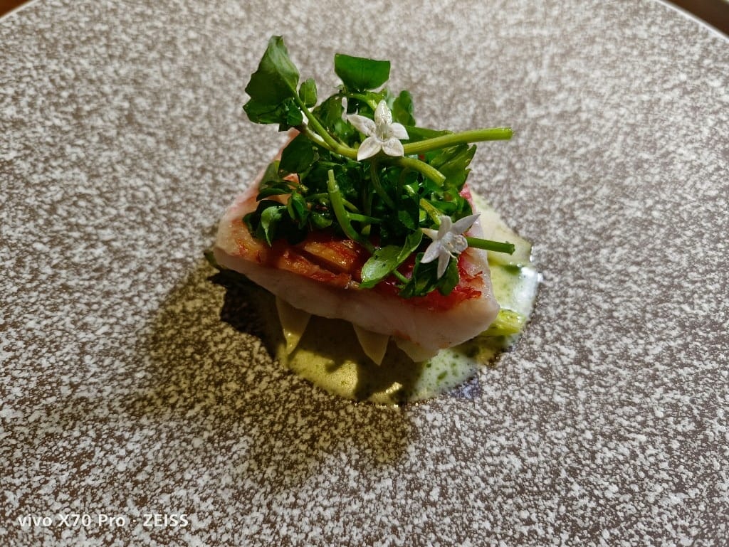【台北美食】 VG Encore，從一隻小蝸牛進入森林中的美食饗宴
