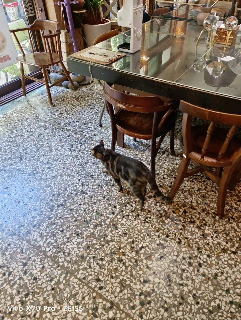 【鹿港美食】穩定飛行專業手沖咖啡，充滿驚奇的巷弄咖啡館，還有神奇的香菜咖啡哦！