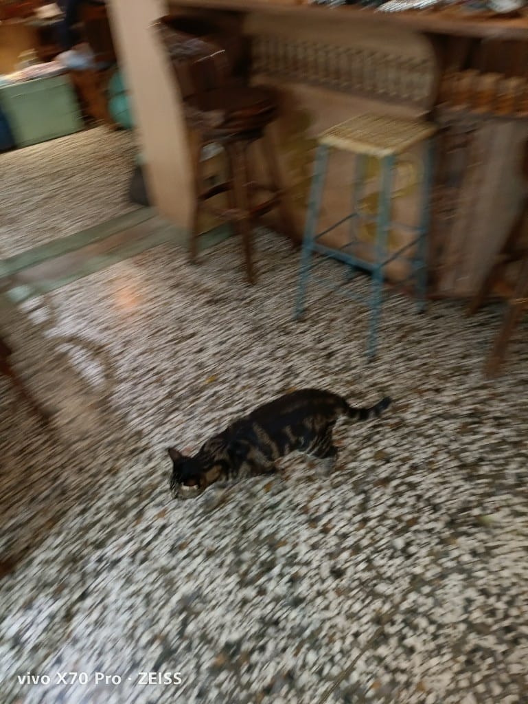 【鹿港美食】穩定飛行專業手沖咖啡，充滿驚奇的巷弄咖啡館，還有神奇的香菜咖啡哦！