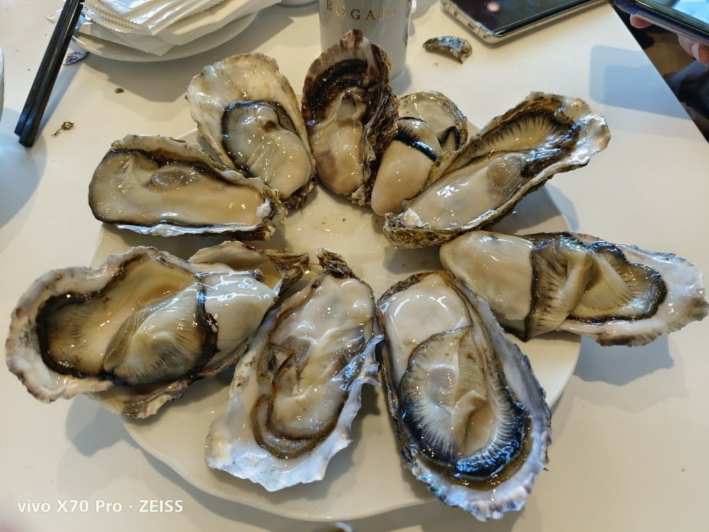 【台北美食】 六福萬怡敘日餐廳，全新泰國美食生蠔、干貝、甜蝦自由，小黃卡打3劑折300！！！