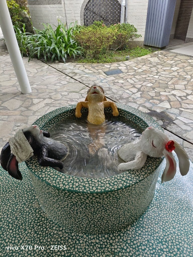 【宜蘭吃到飽】挪亞方舟美食，宜蘭在地推廌吃到飽