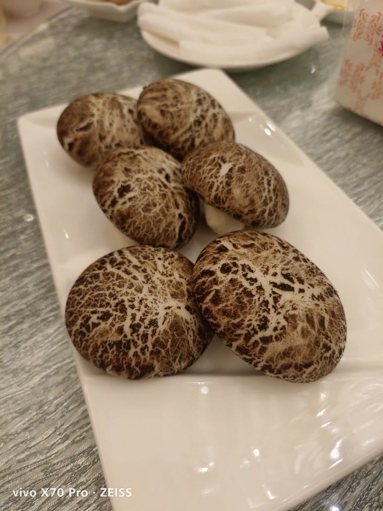【三重吃到飽】貝斯薇榳婚宴會館Bless Wedding Plaza2訪，超值又美味的中菜吃到飽