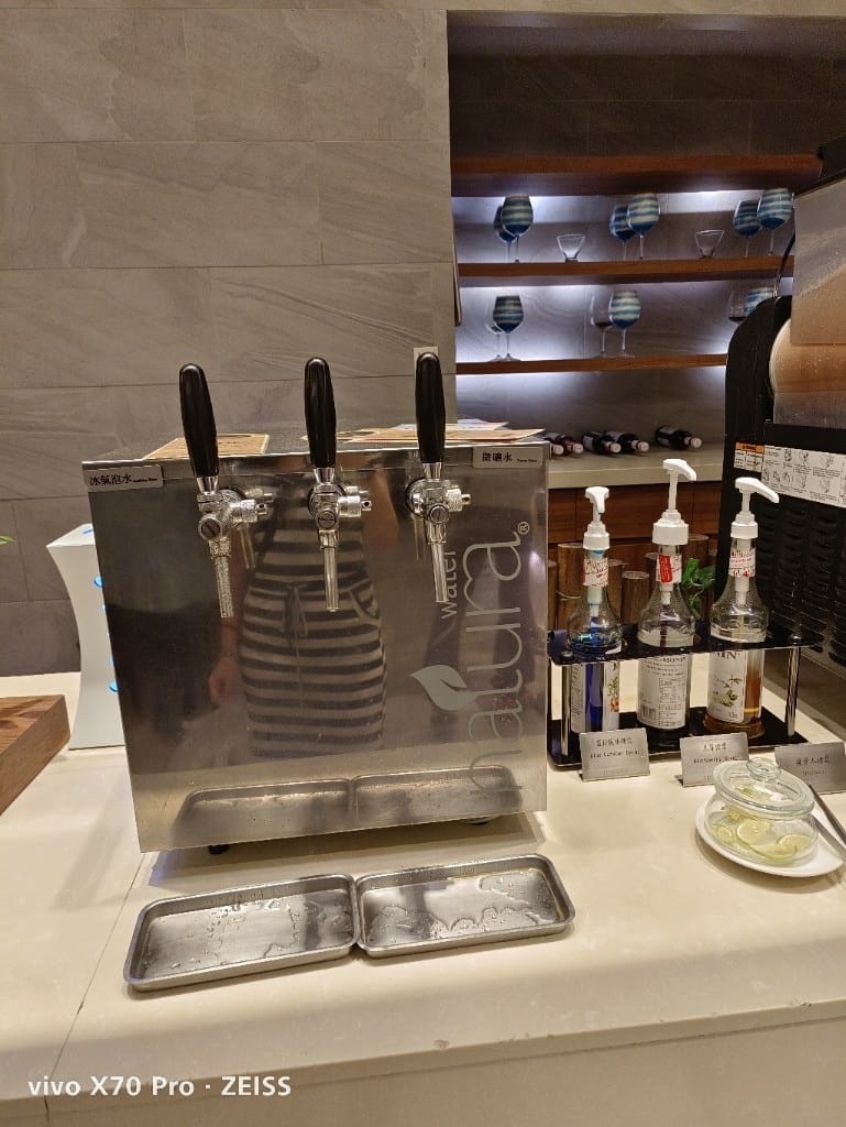 【桃園吃到飽】漢來海港餐廳 桃園店，平日午餐玉約饗樂買一送一！
