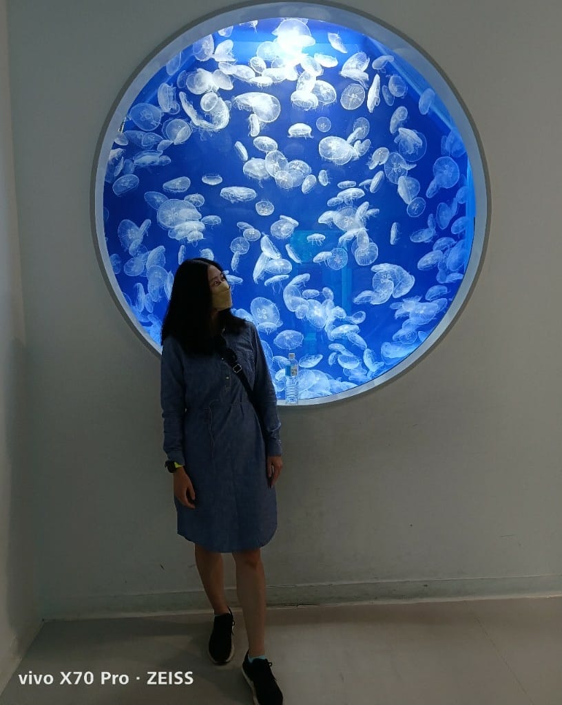 【桃園住宿】COZZI Blu 和逸飯店 桃園館，可24H觀賞Xpark水族館直播秀❤️