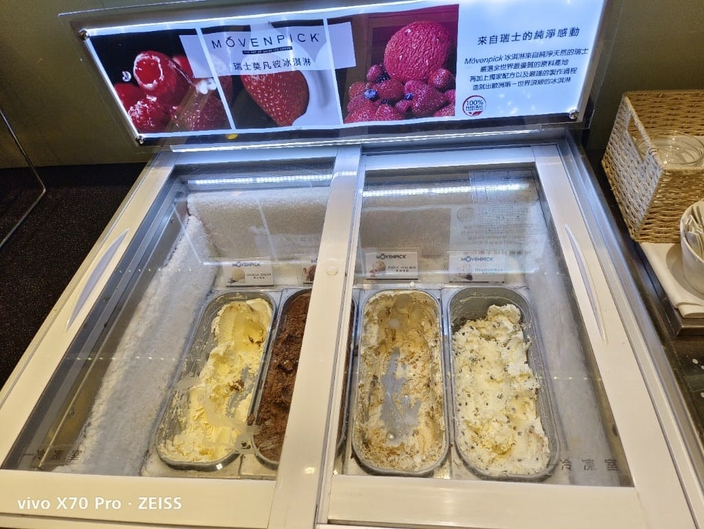 【桃園美食】桃園機場貴賓室VIP LOUNGE - 第8張圖 【桃園美食】桃園機場貴賓室VIP LOUNGE
