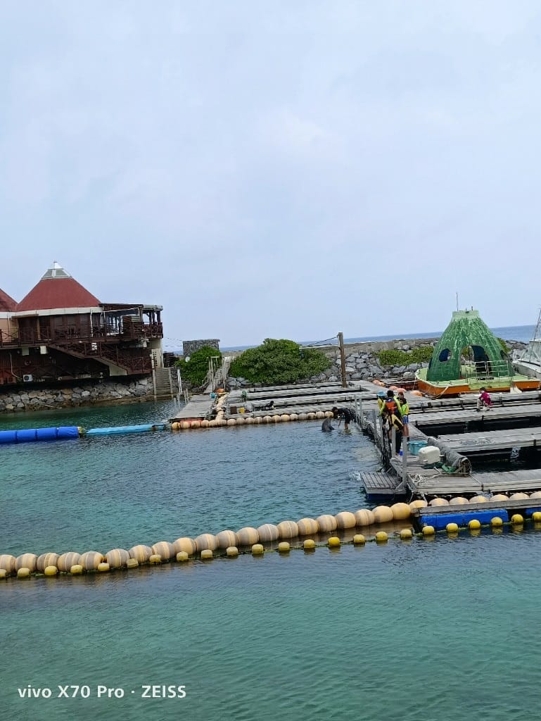【日本沖繩住宿】沖繩島萬麗度假酒店，可以和海豚共游的親子友善飯店
