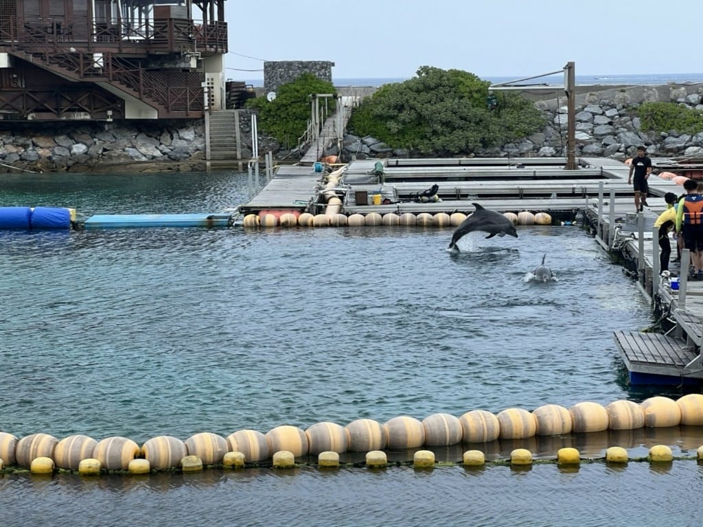 【日本沖繩住宿】沖繩島萬麗度假酒店，可以和海豚共游的親子友善飯店