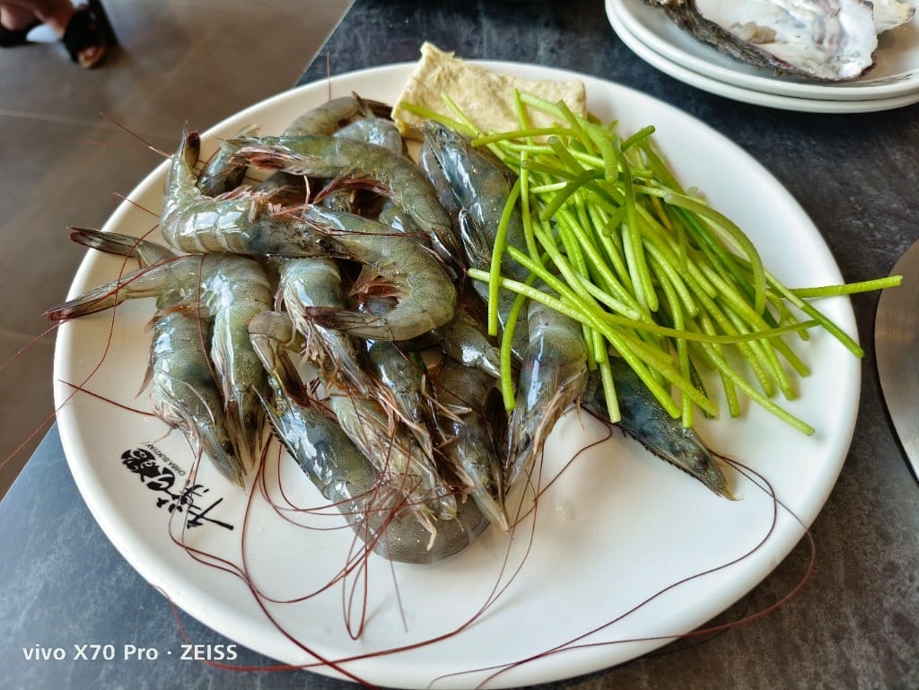 【新莊吃到飽】千葉火鍋中原尊爵館，重新開幕送生蠔，還可免費續會員哦！