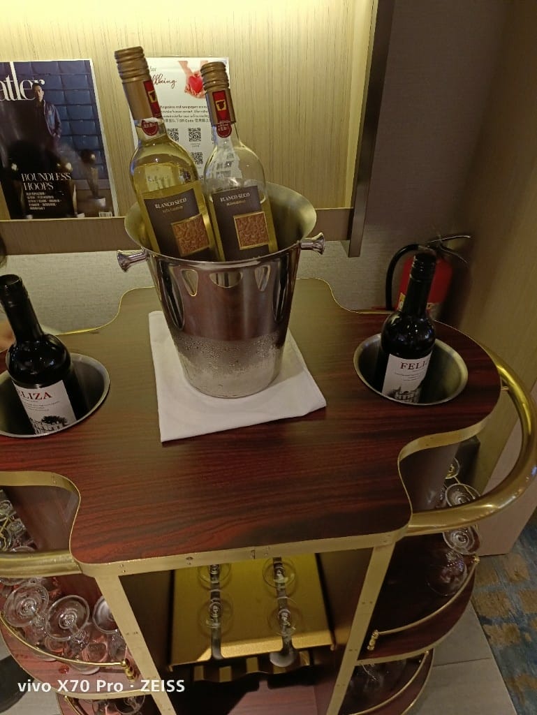 【桃園美食】桃園機場貴賓室VIP LOUNGE，一航星宇&環亞貴賓室❤️