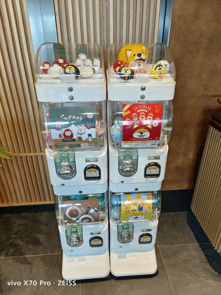【桃園吃到飽】旭集中茂店，全台第五家旭集午餐開箱❤️