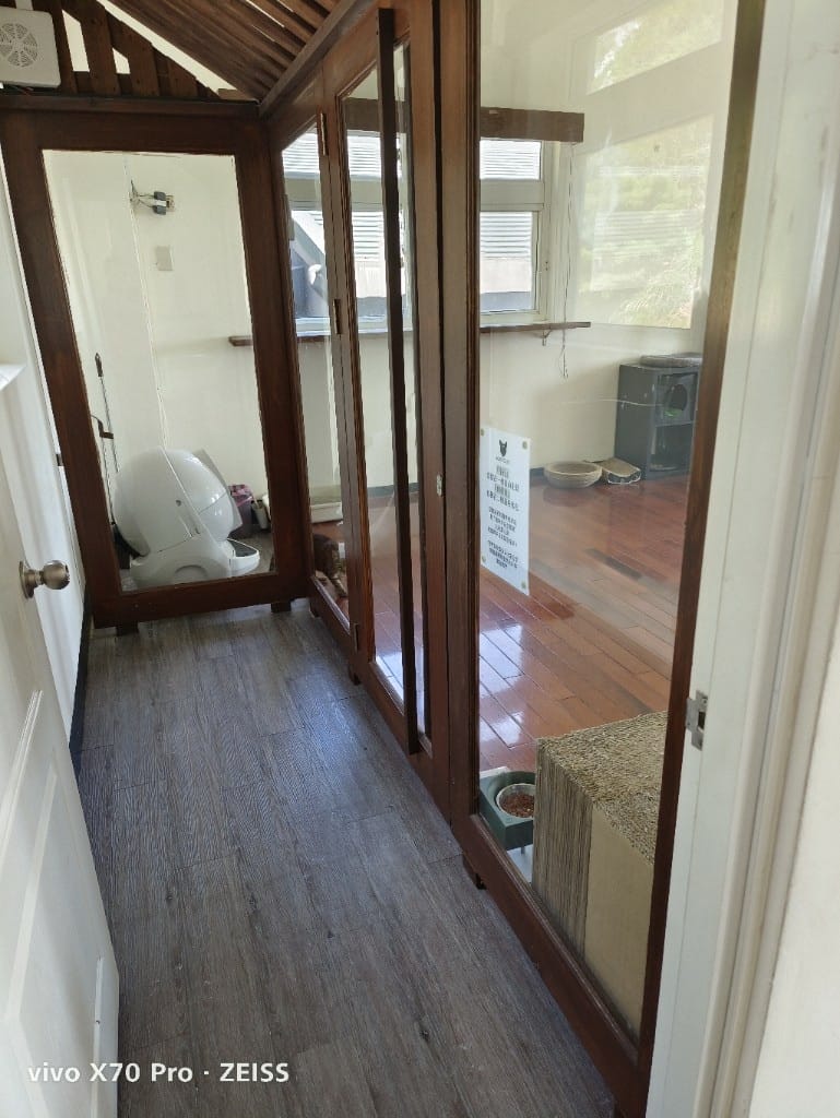 【五股觀音山咖啡】豹豹咖啡_森林館，有豹貓陪伴的森林系咖啡館！