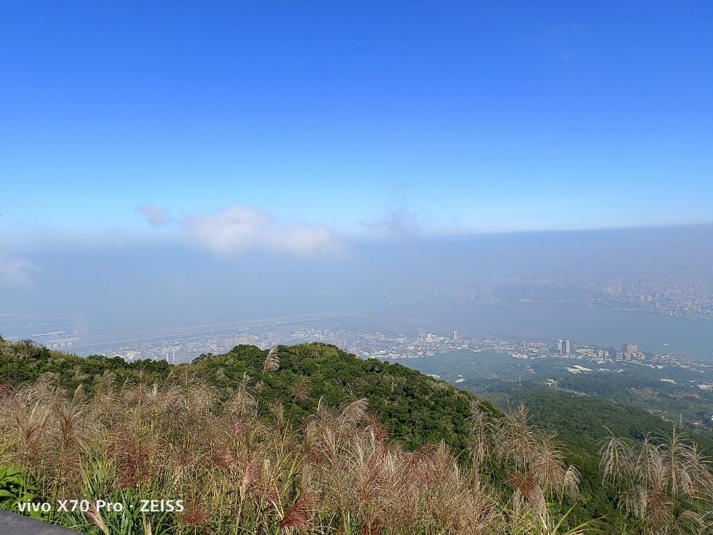 【五股觀音山咖啡】豹豹咖啡_森林館，有豹貓陪伴的森林系咖啡館！