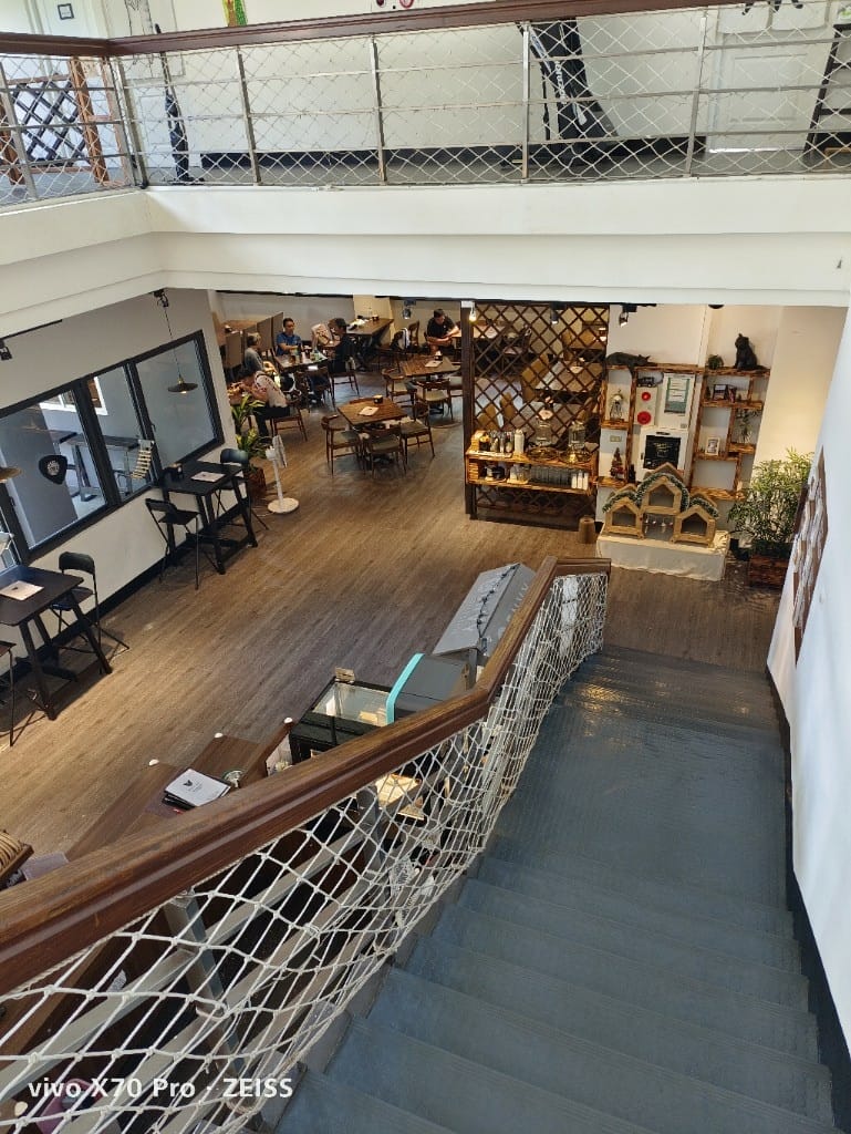 【五股觀音山咖啡】豹豹咖啡_森林館，有豹貓陪伴的森林系咖啡館！