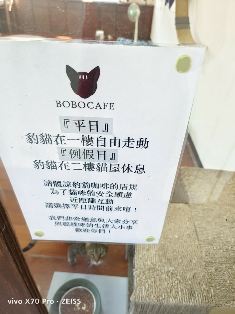 【五股觀音山咖啡】豹豹咖啡_森林館，有豹貓陪伴的森林系咖啡館！