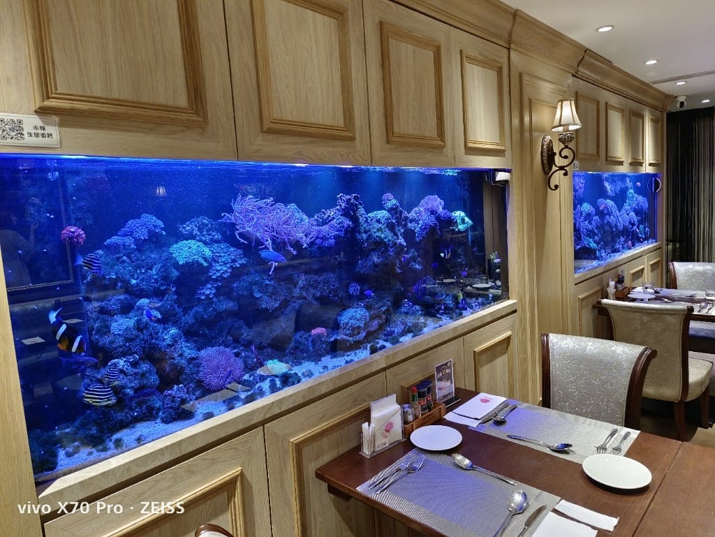 【新莊美食】慕拉諾義式餐廳，彷彿置身水族箱的義式餐廳❤️