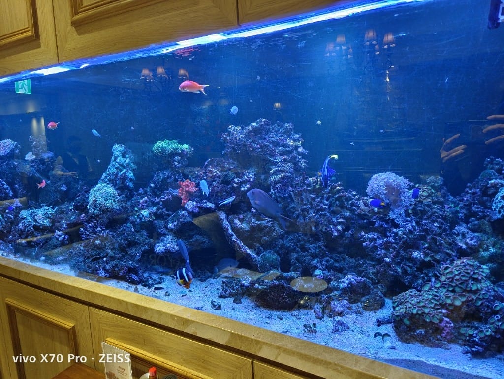 【新莊美食】慕拉諾義式餐廳，彷彿置身水族箱的義式餐廳❤️