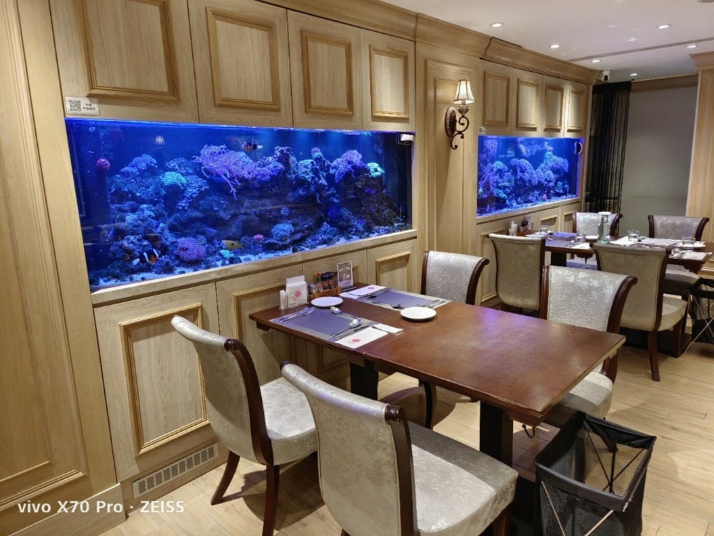 【新莊美食】慕拉諾義式餐廳，彷彿置身水族箱的義式餐廳❤️