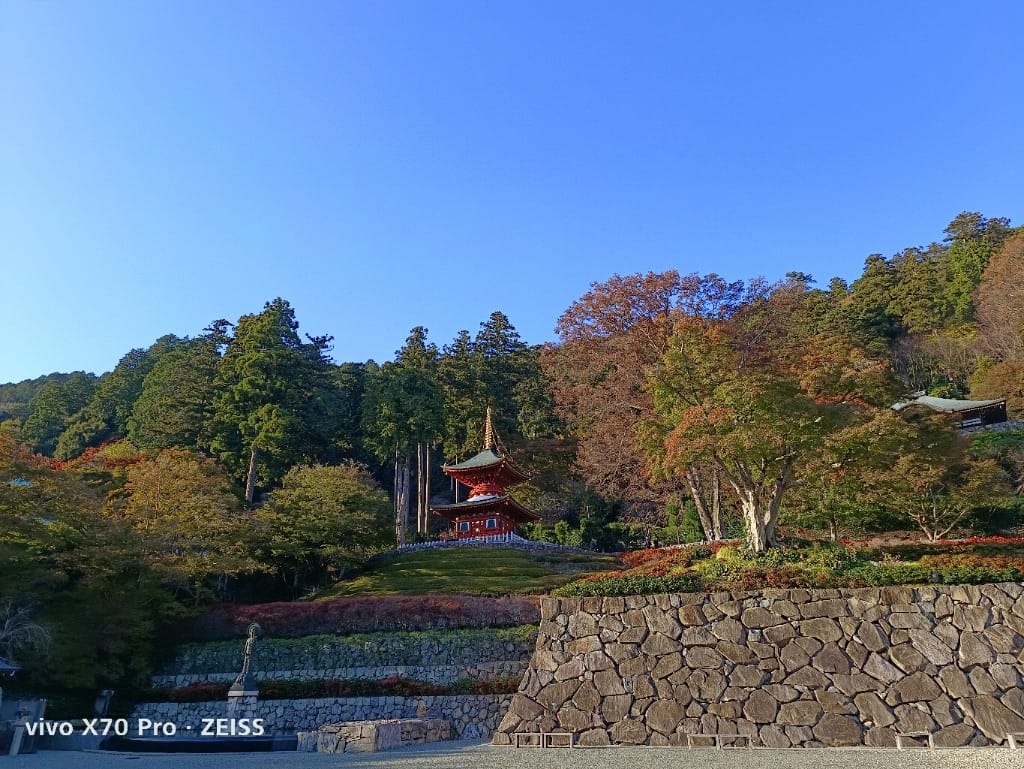 【日本京都旅遊】勝尾寺，滿山滿谷達摩的勝尾寺楓紅❤️