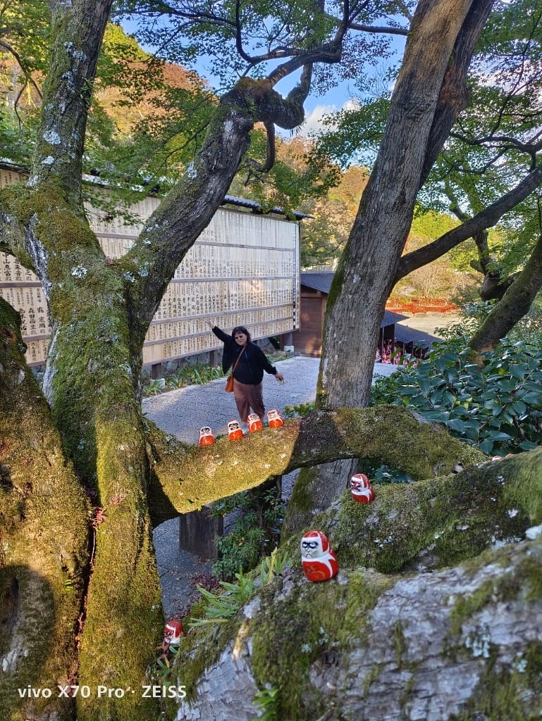 【日本京都旅遊】勝尾寺，滿山滿谷達摩的勝尾寺楓紅❤️