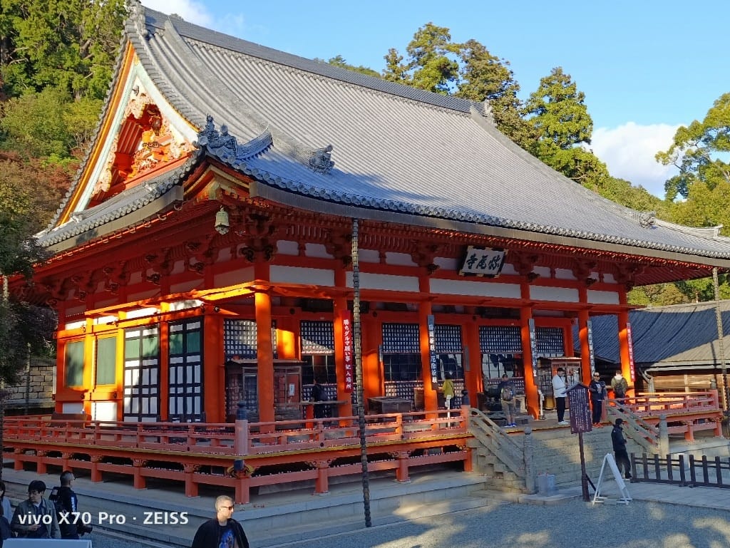【日本京都旅遊】勝尾寺，滿山滿谷達摩的勝尾寺楓紅❤️