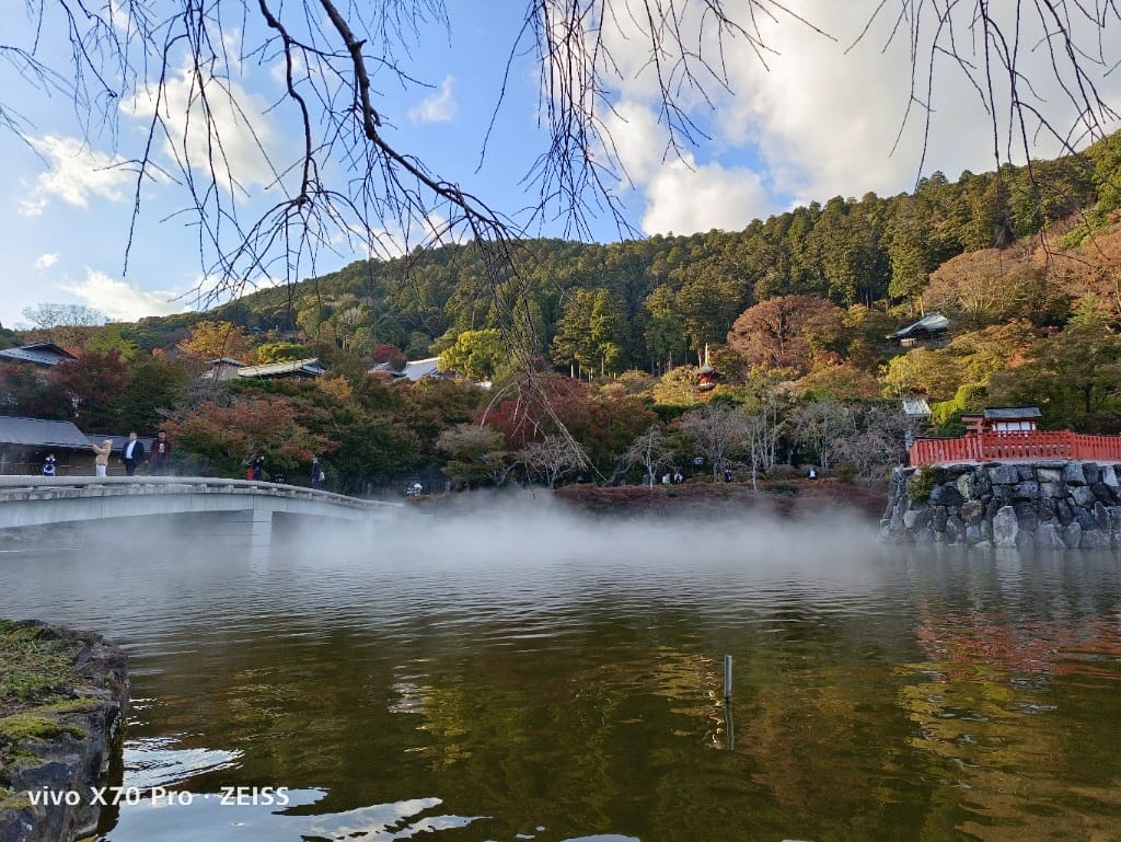 【日本京都旅遊】勝尾寺，滿山滿谷達摩的勝尾寺楓紅❤️