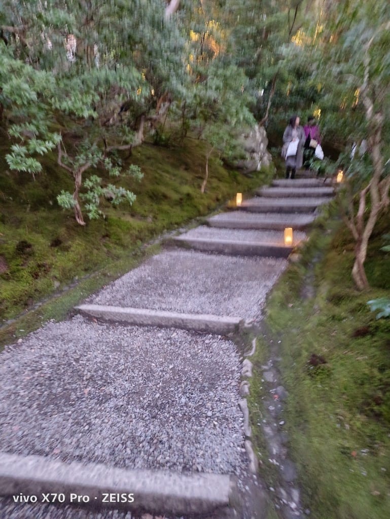 【日本京都旅遊】琉璃光院，京都賞楓琉璃之庭！