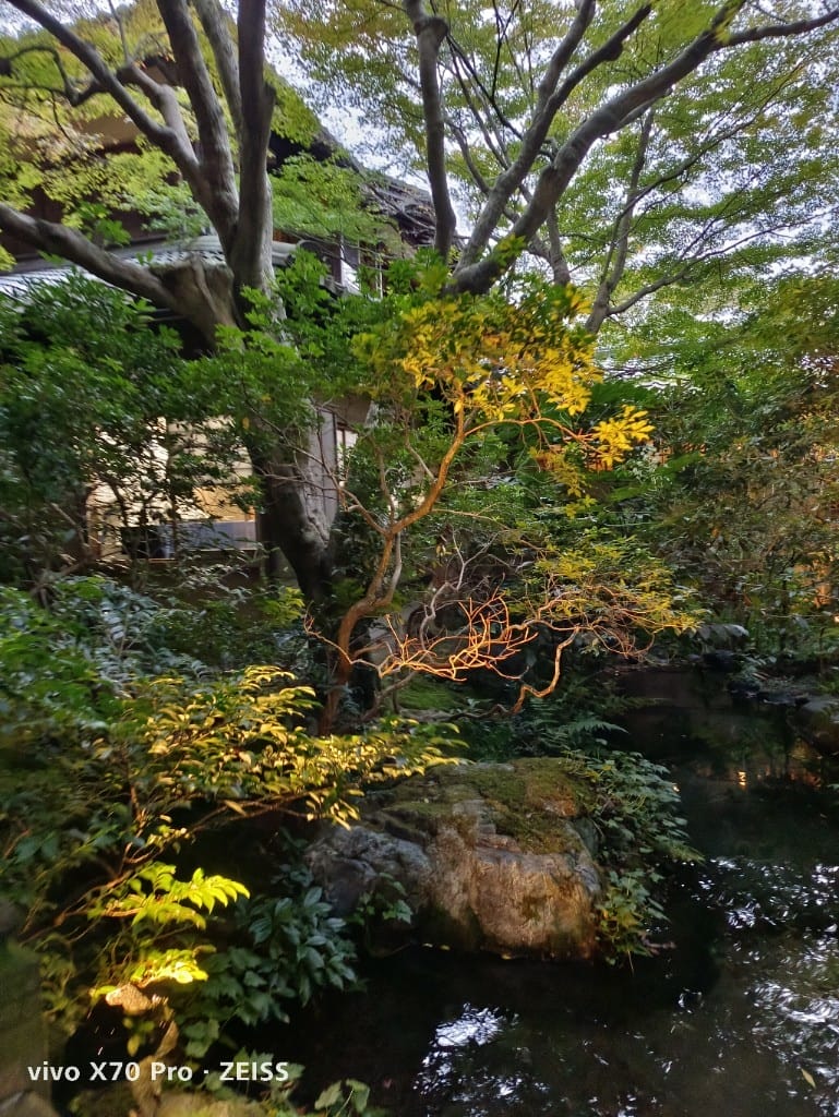 【日本京都旅遊】琉璃光院，京都賞楓琉璃之庭！