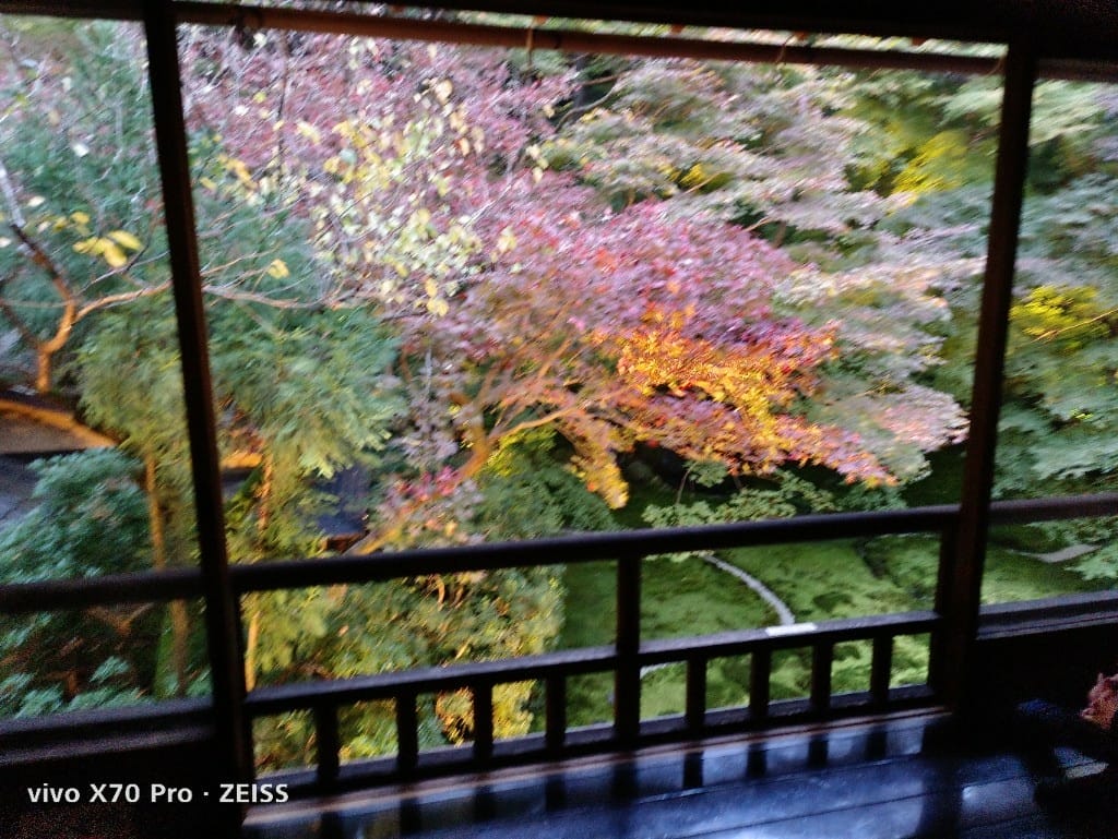 【日本京都旅遊】琉璃光院，京都賞楓琉璃之庭！