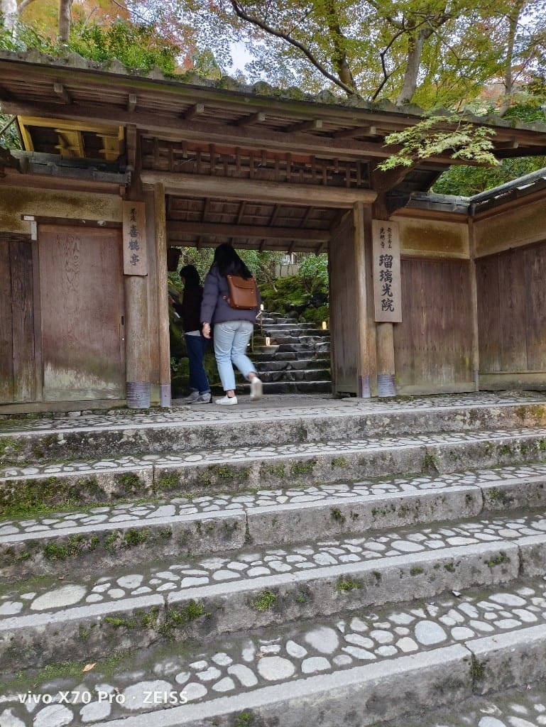 【日本京都旅遊】琉璃光院，京都賞楓琉璃之庭！