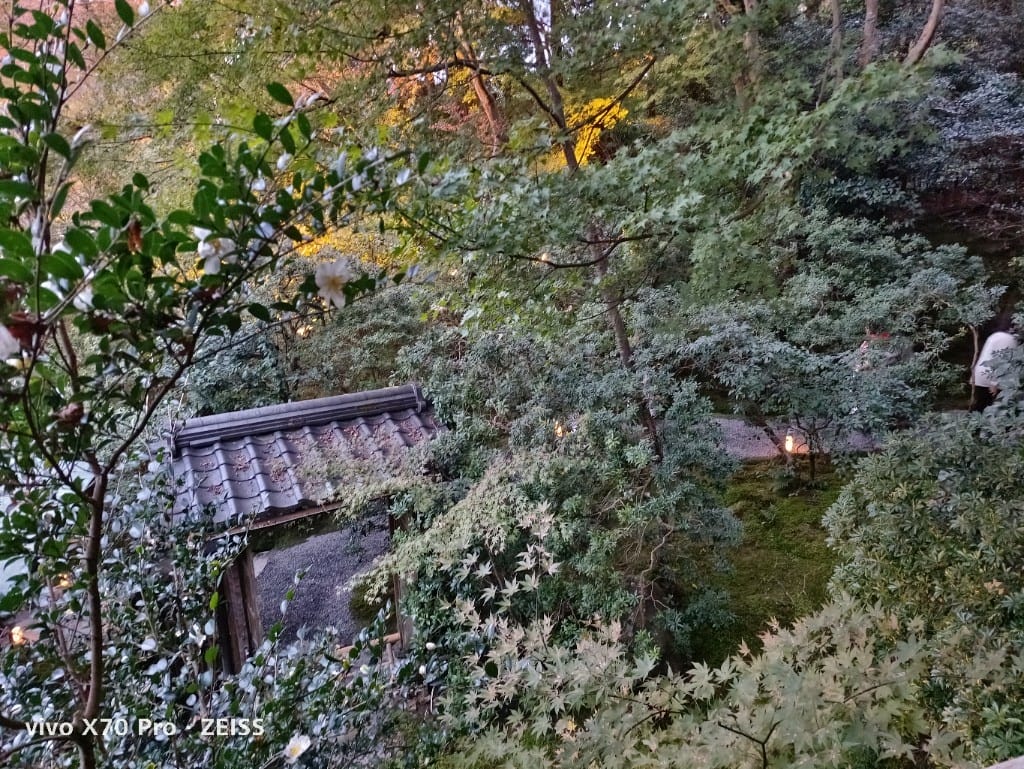 【日本京都旅遊】琉璃光院，京都賞楓琉璃之庭！