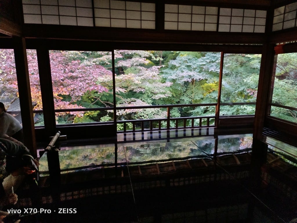 【日本京都旅遊】琉璃光院，京都賞楓琉璃之庭！