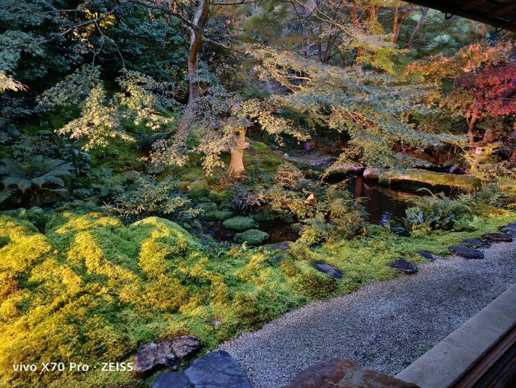 【日本京都旅遊】琉璃光院，京都賞楓琉璃之庭！