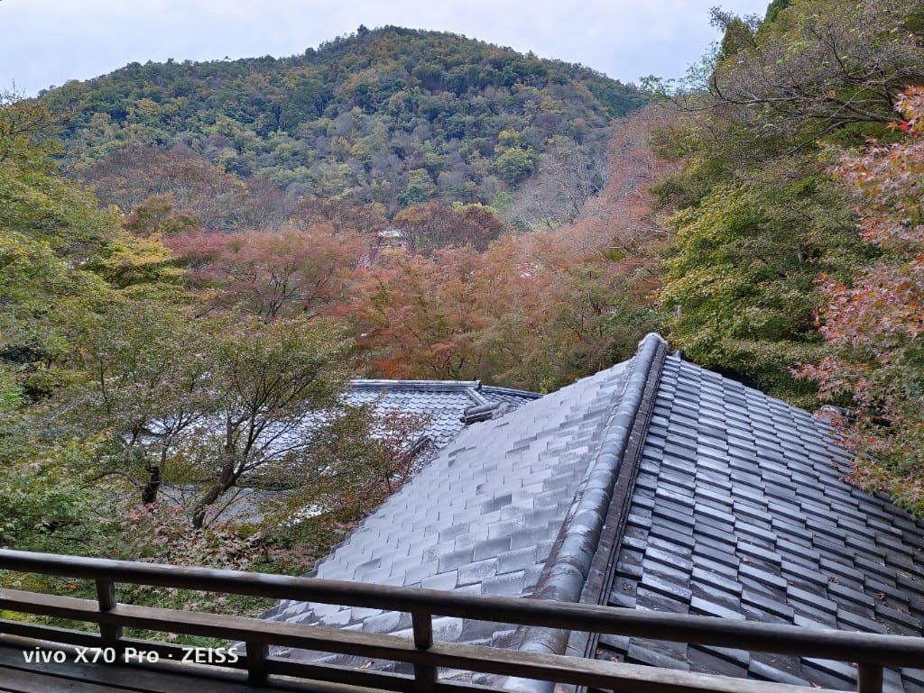【日本京都旅遊】琉璃光院，京都賞楓琉璃之庭！