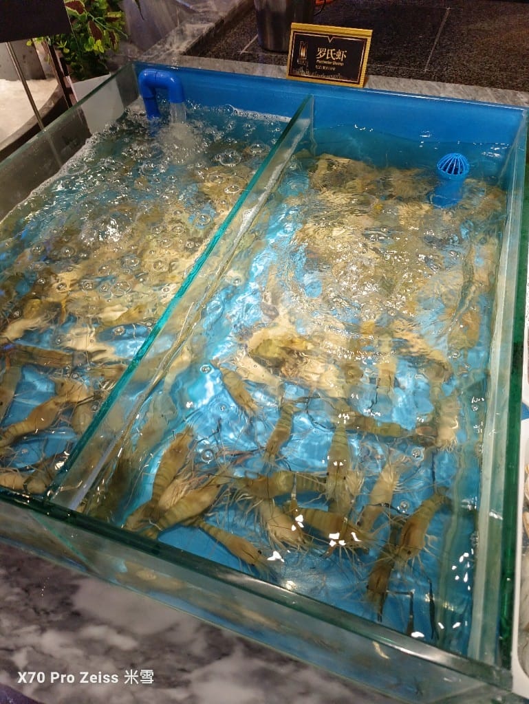 【上海吃到飽】銘門盛宴上海店，各種活海鮮自撈吃到飽❤️